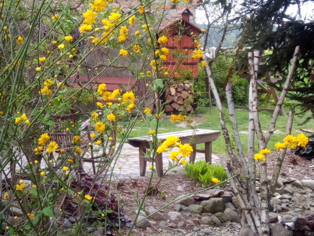 Nad brzegiem strumyka.