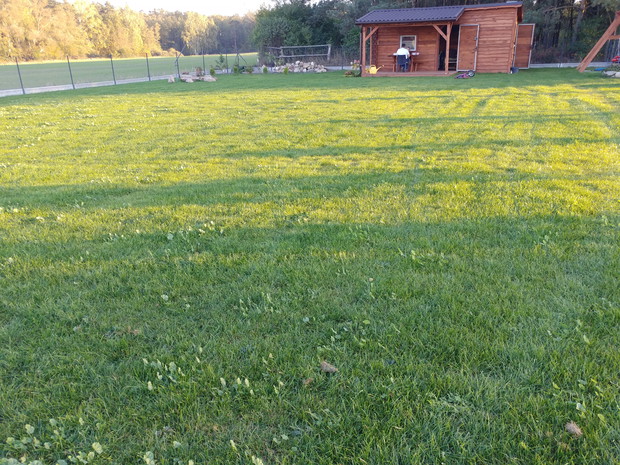 ogromna połać trawnika