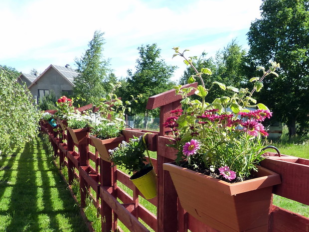 Płot z palet i kwiaty