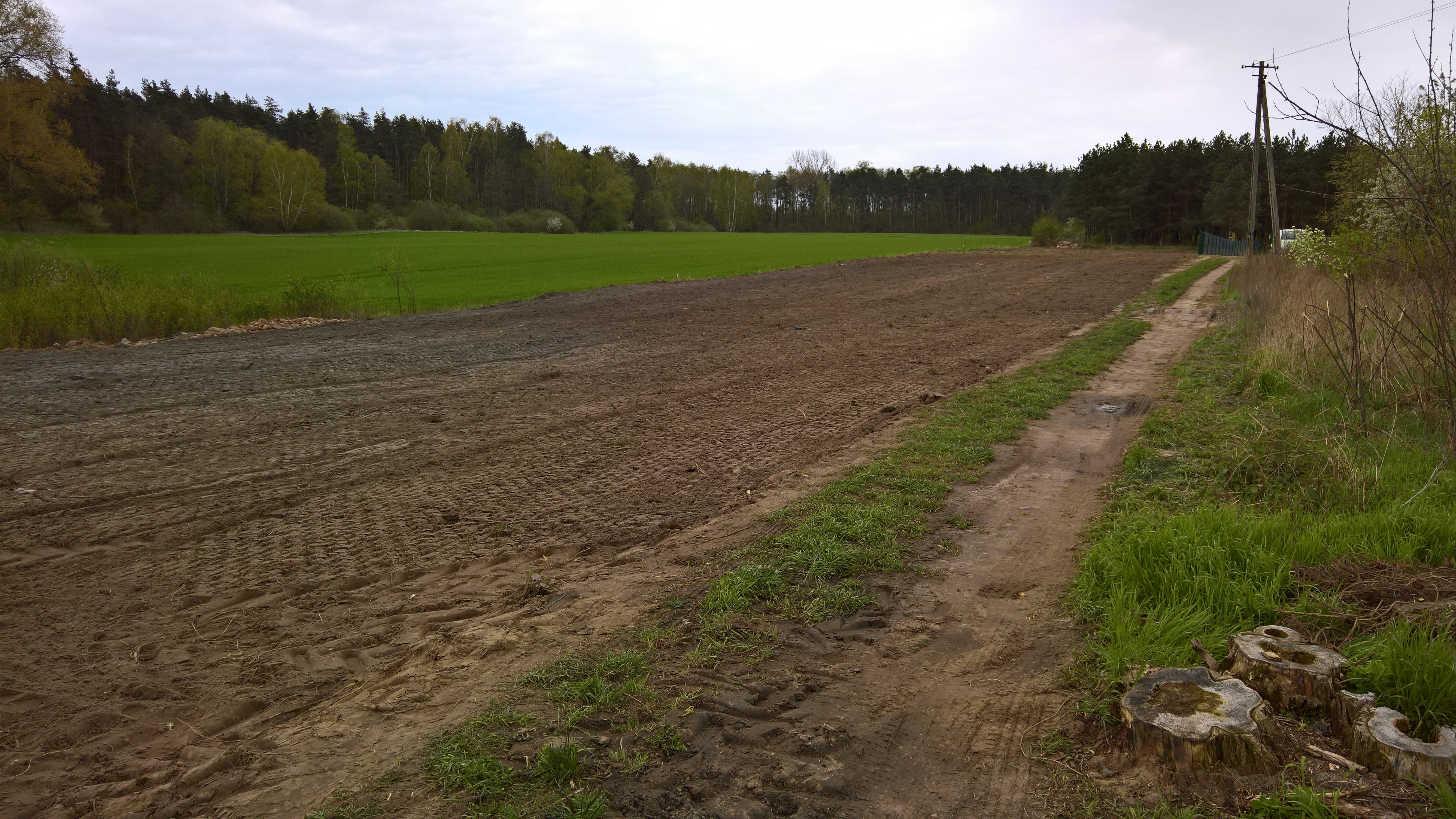 "pole, pole łyse pole, ale mam już plan!"