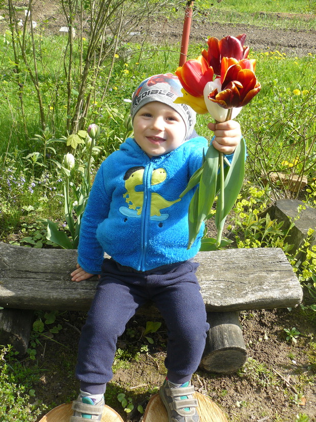 tylko tulipanki i inne