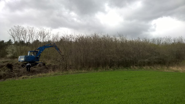 tysiące akacji i śliwek