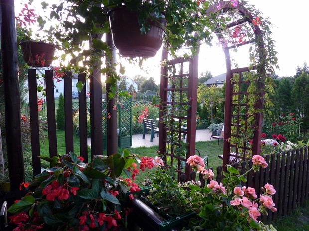 Werandowa kompozycja