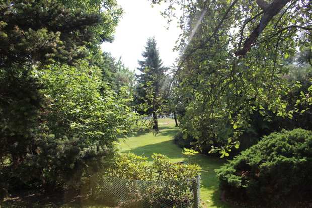 Widok centrum ogrodu