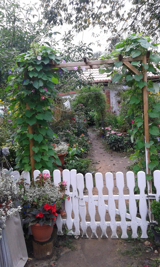 Widok na wejscie do ogrodu