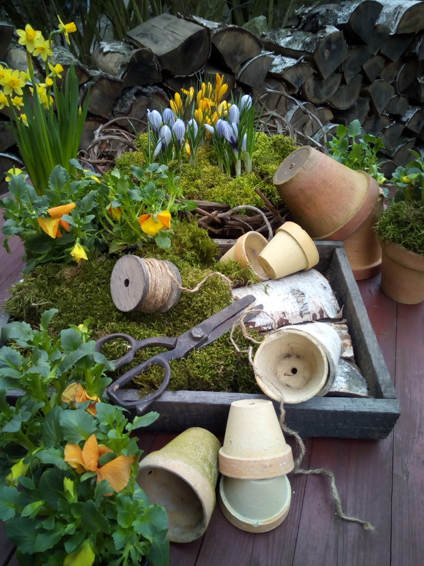 Wiosenna aranżacja.