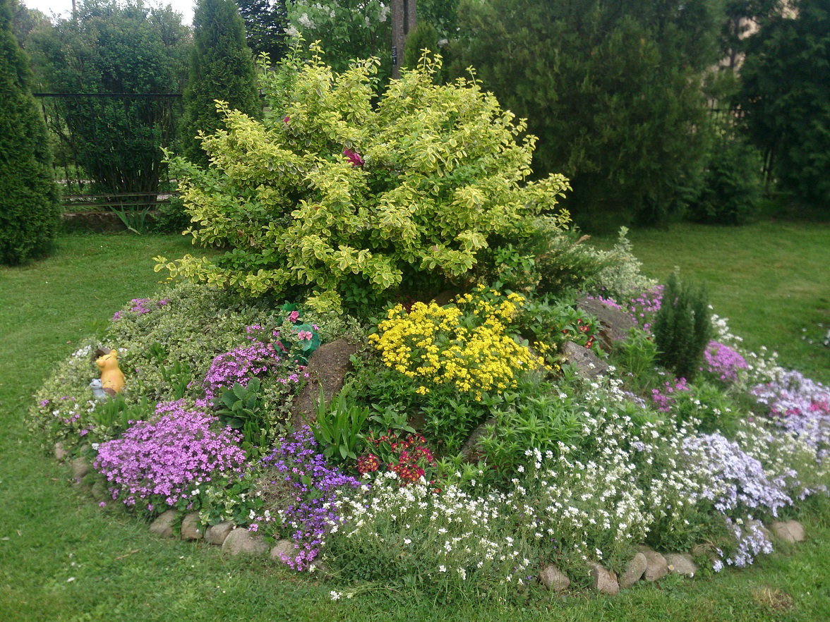 ”Wiosenny Ogród z Fiskars"