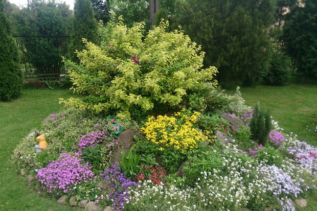 ”Wiosenny Ogród z Fiskars"