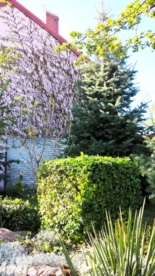 Wiosenny Ogród z Fiskars