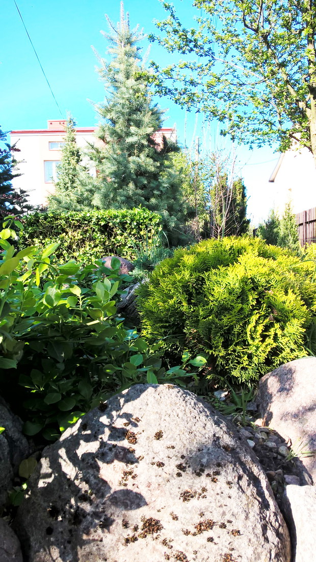 Wiosenny Ogród z Fiskars