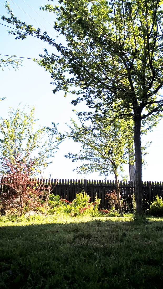 Wiosenny Ogród z Fiskars