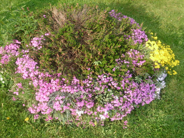 ”Wiosenny Ogród z Fiskars"