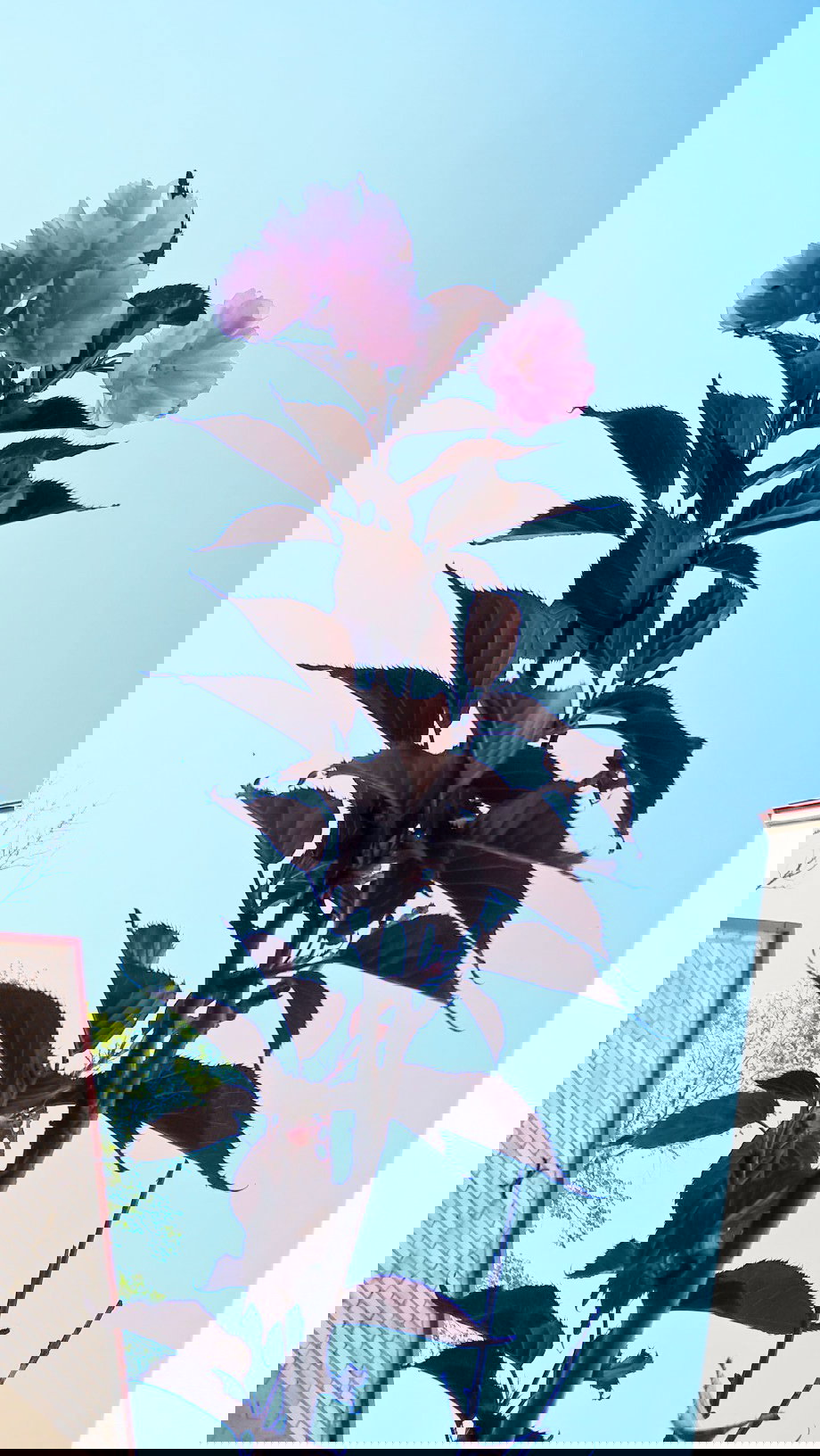 Wiosenny Ogród z Fiskars