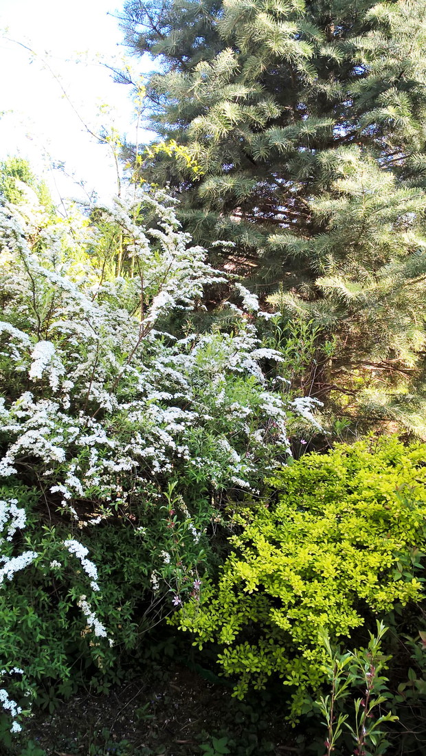 Wiosenny Ogród z Fiskars