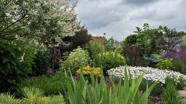 2 sezon tego zakątka ogrodu