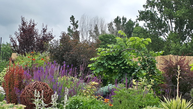 2 sezon tej częsci ogrodu