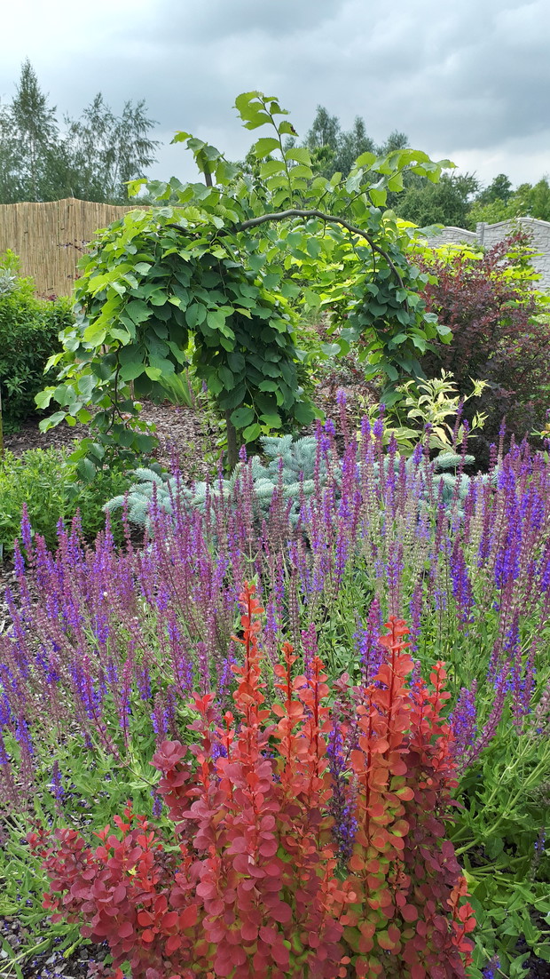 2 sezon tej części