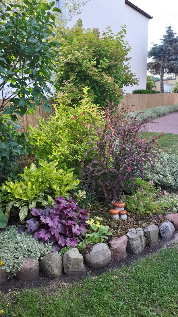 Ciekawym tłem dla roślin w ym sezonie dla naszego ogrodu stała się mata trzcinowa.