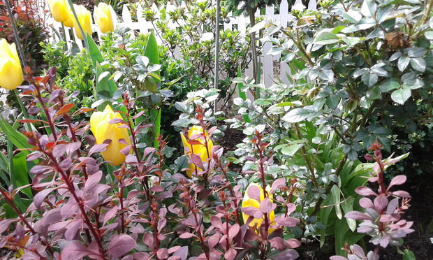 Co dzień piękniejszy