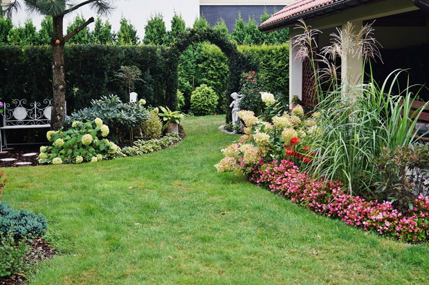 fragment kącika wypoczynkowego pod sosną - lato 2018