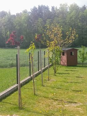 Klaudia Grzegorzewska