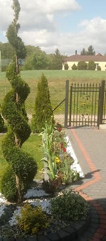 Klaudia Grzegorzewska