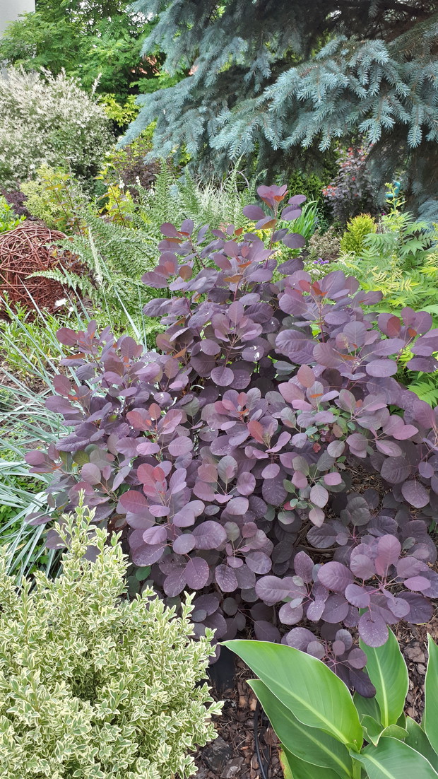 Kolorowo, tak jak lubię.