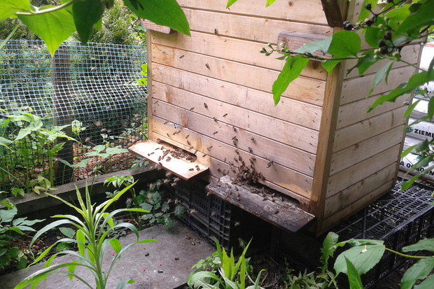 Moje małe podopieczne