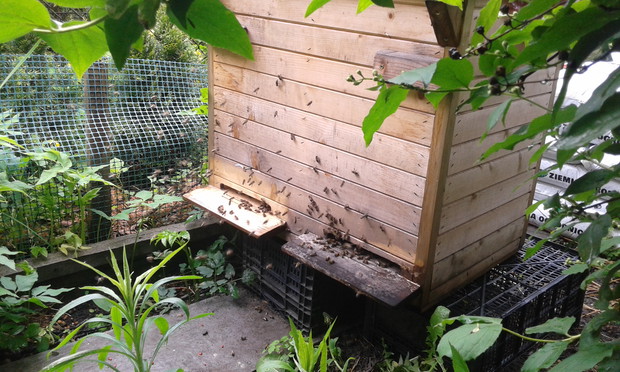 Moje małe podopieczne