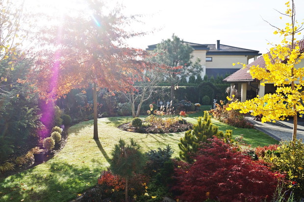 ogród za domem - jesień 2018