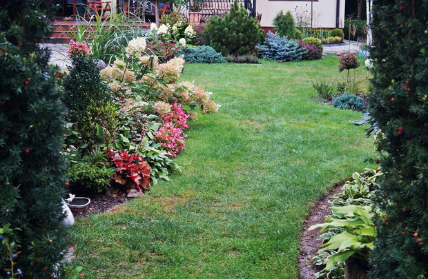 ogród za domem - lato 2018