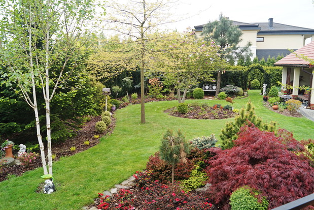 ogród za domem - wiosna 2019