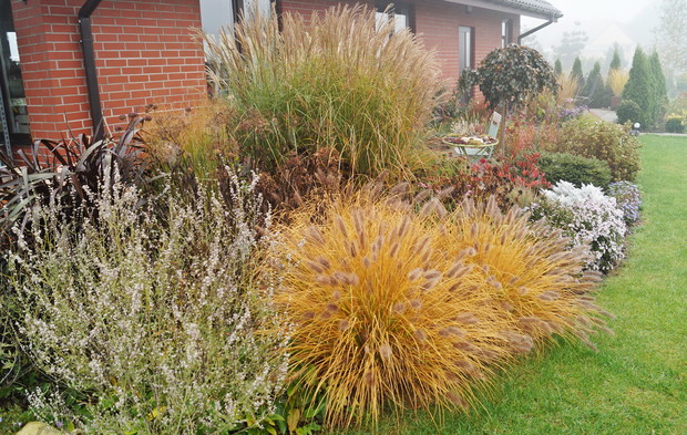 Rabata z trawami przy budynku