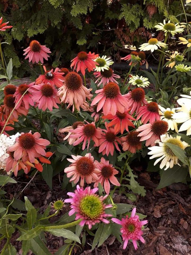 Wiosenny konkurs z Fiskars