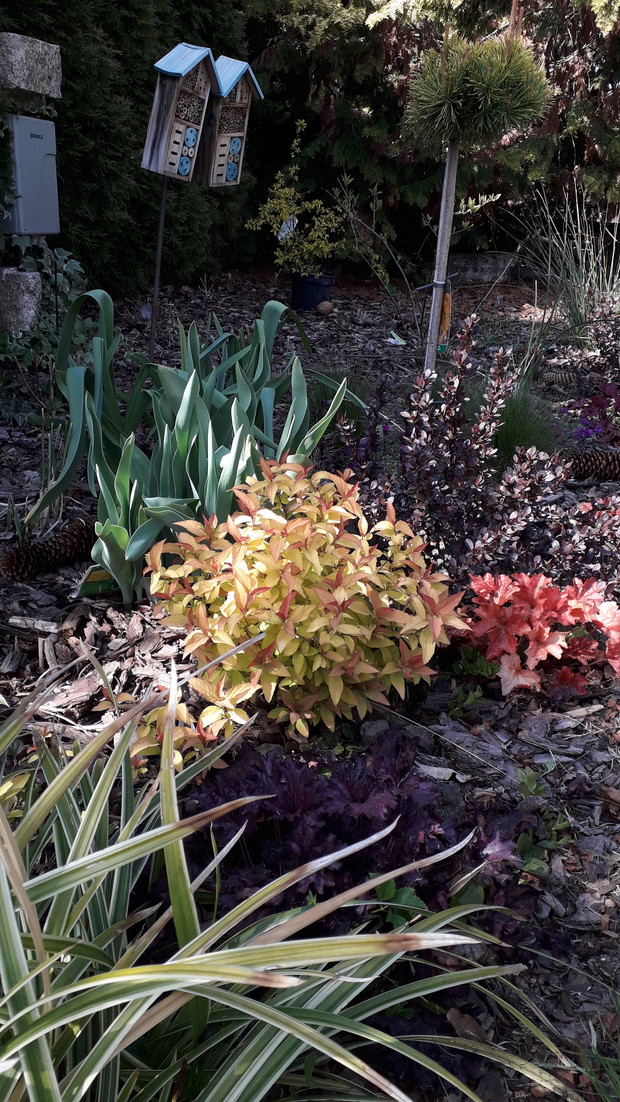 Wiosenny Ogród z Fiskars