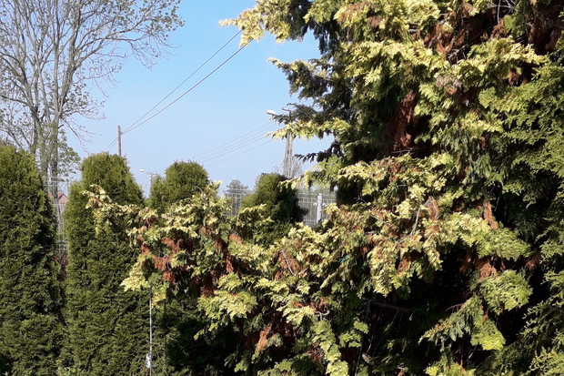 Wiosenny Ogród z Fiskars