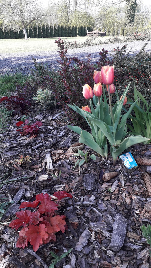 Wiosenny Ogród z Fiskars