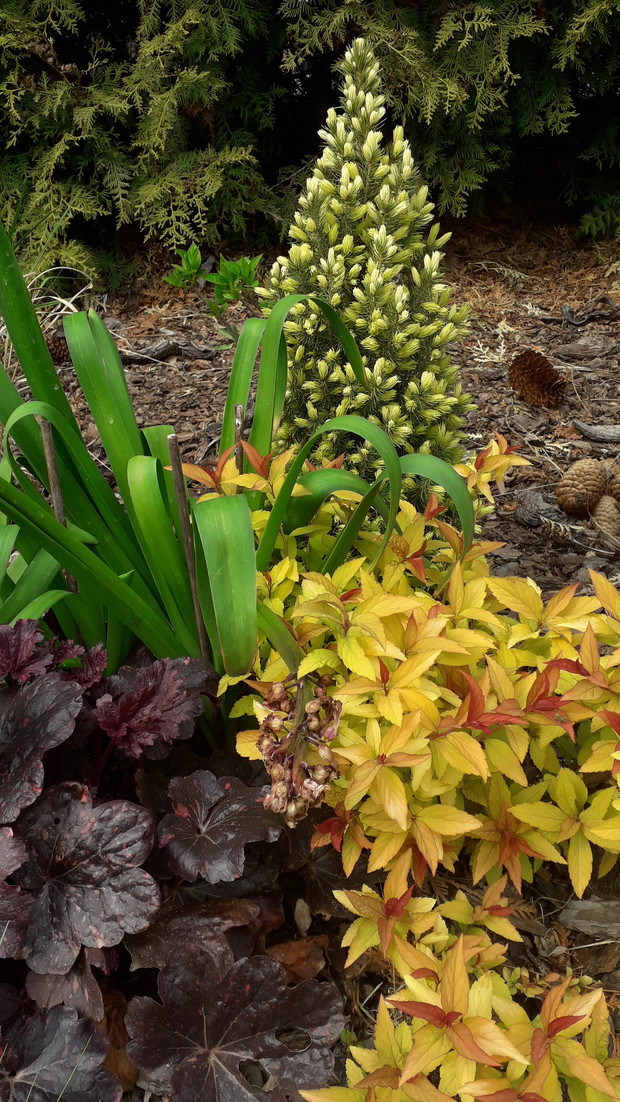 Wiosenny Ogród z Fiskars