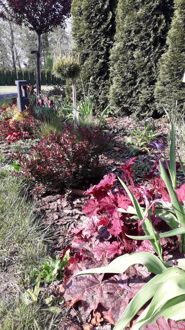 Wiosenny Ogród z Fiskars