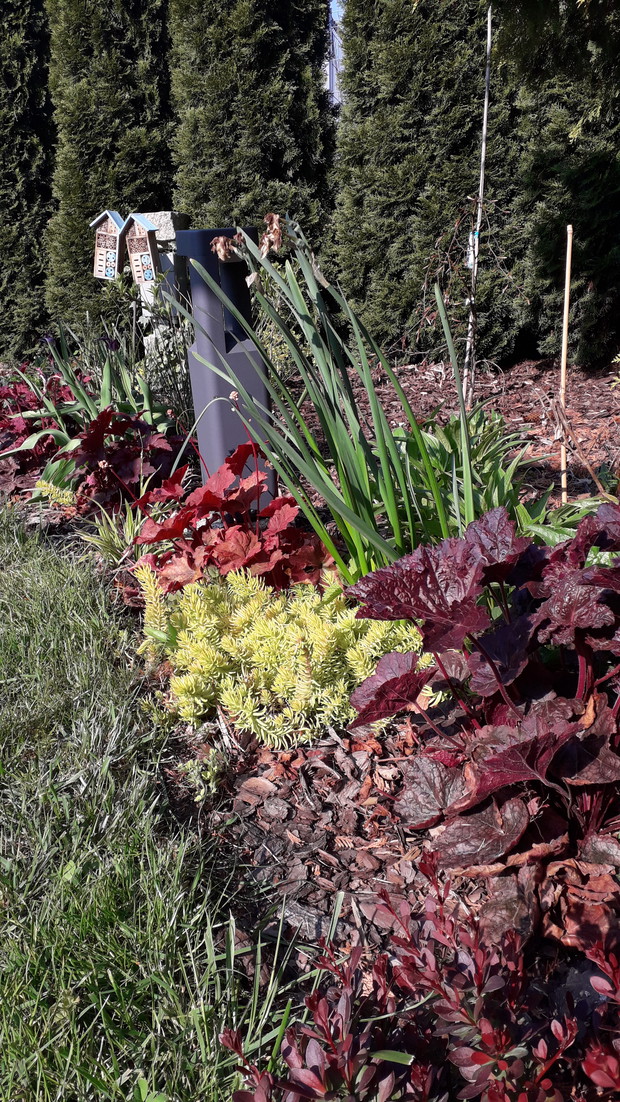 Wiosenny Ogród z Fiskars