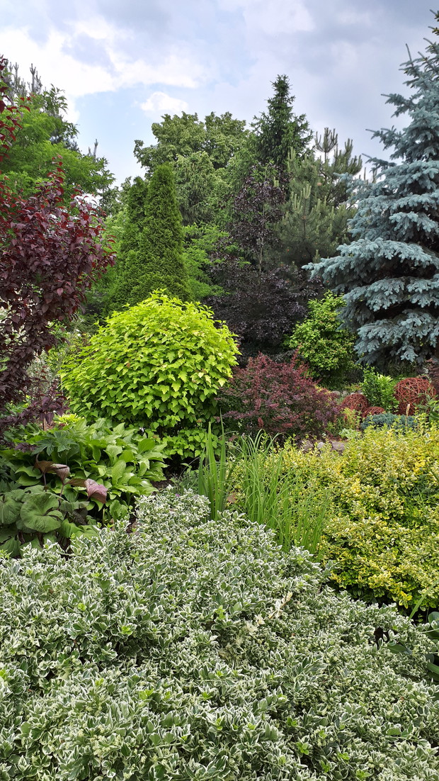 Za stawkiem też kolorowo