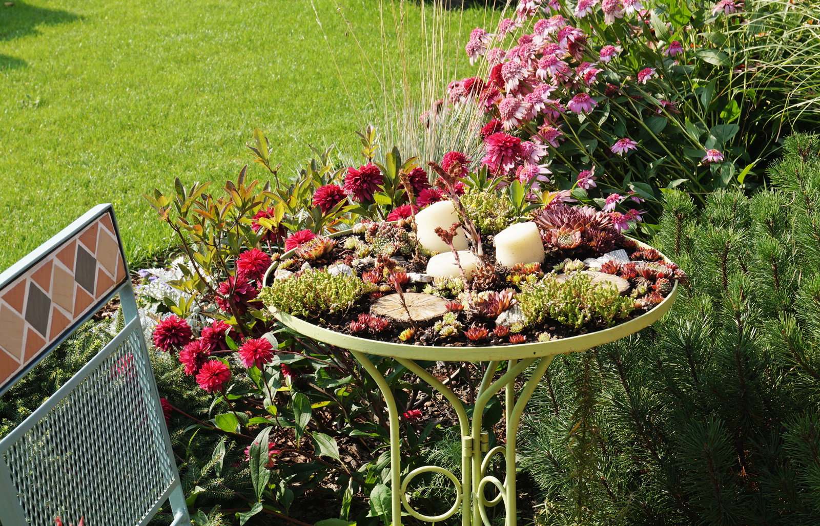 Żywy, rojnikowy stolik