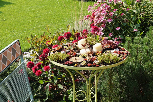 Żywy, rojnikowy stolik