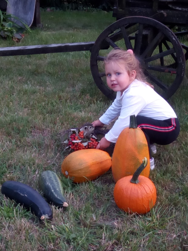 Dyniowe zbiory i Maja.