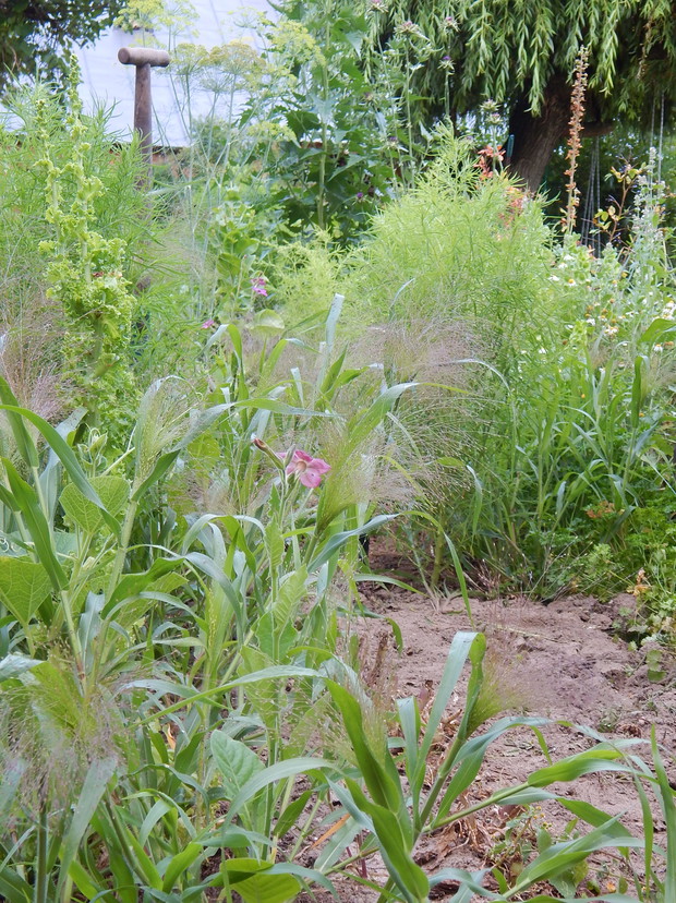 Miotły, prosa, dzwońce...