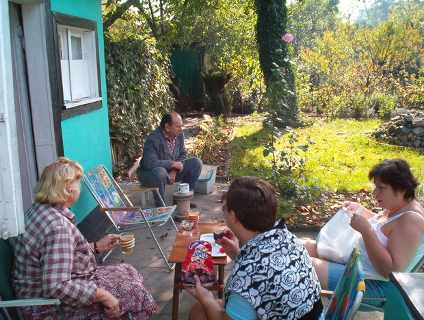 Pierniczki Alpejskie