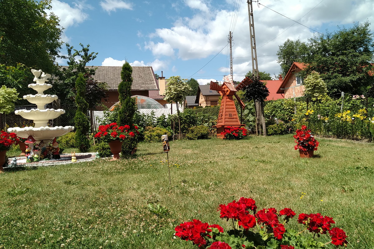 rzut na ogród
