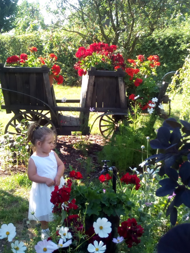 Spacerkiem po ogrodzie.