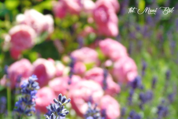 Ulubione połączenie