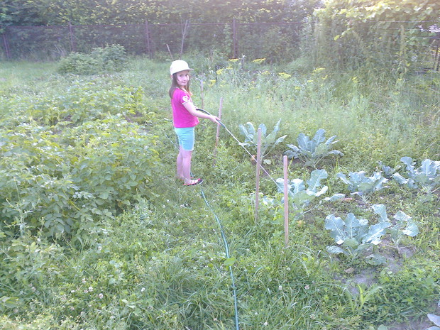 w warzywniku( sprzed roku)